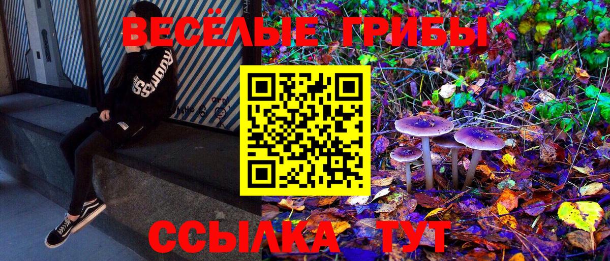 Галлюциногенные грибы MAGIC MUSHROOMS  Псилоцибиновые грибы Psilocybe  Калуга  купить  цена  Вход с VPN 