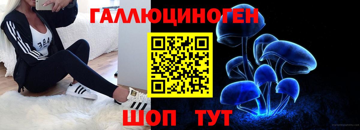 Псилоцибиновые грибы мицелий Калуга
